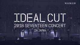 IDEAL CUT